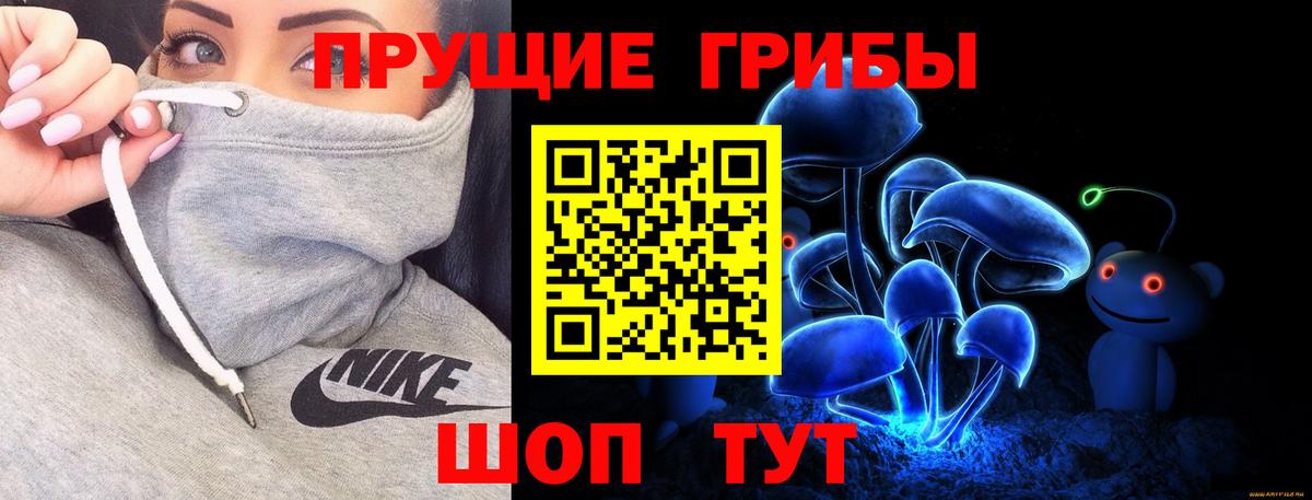 Галлюциногенные грибы прущие грибы  Вход с VPN  Фурманов 